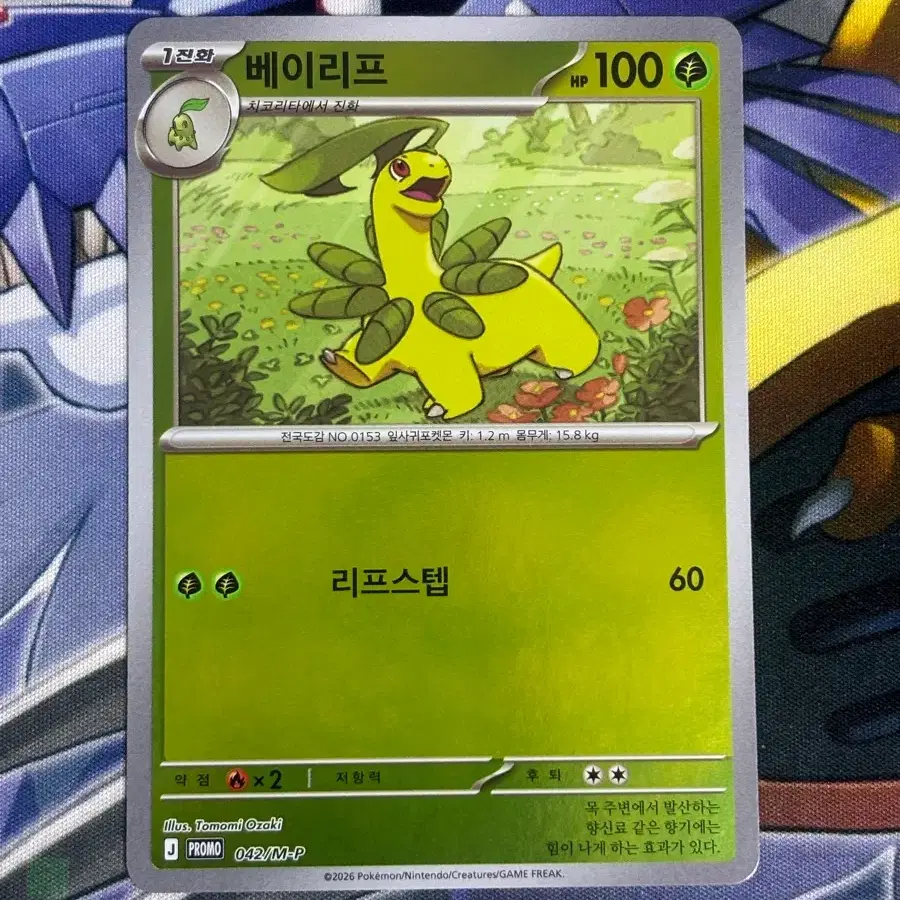 포켓몬카드 베이리프