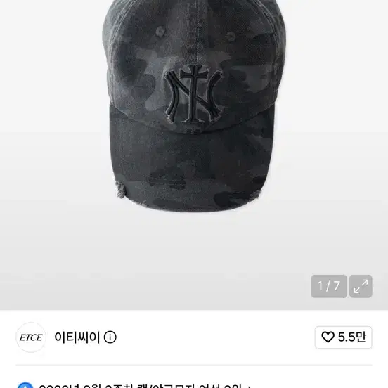 ETCE 이티씨이 NY Cross Damage Cap (Camo) 카고 모자