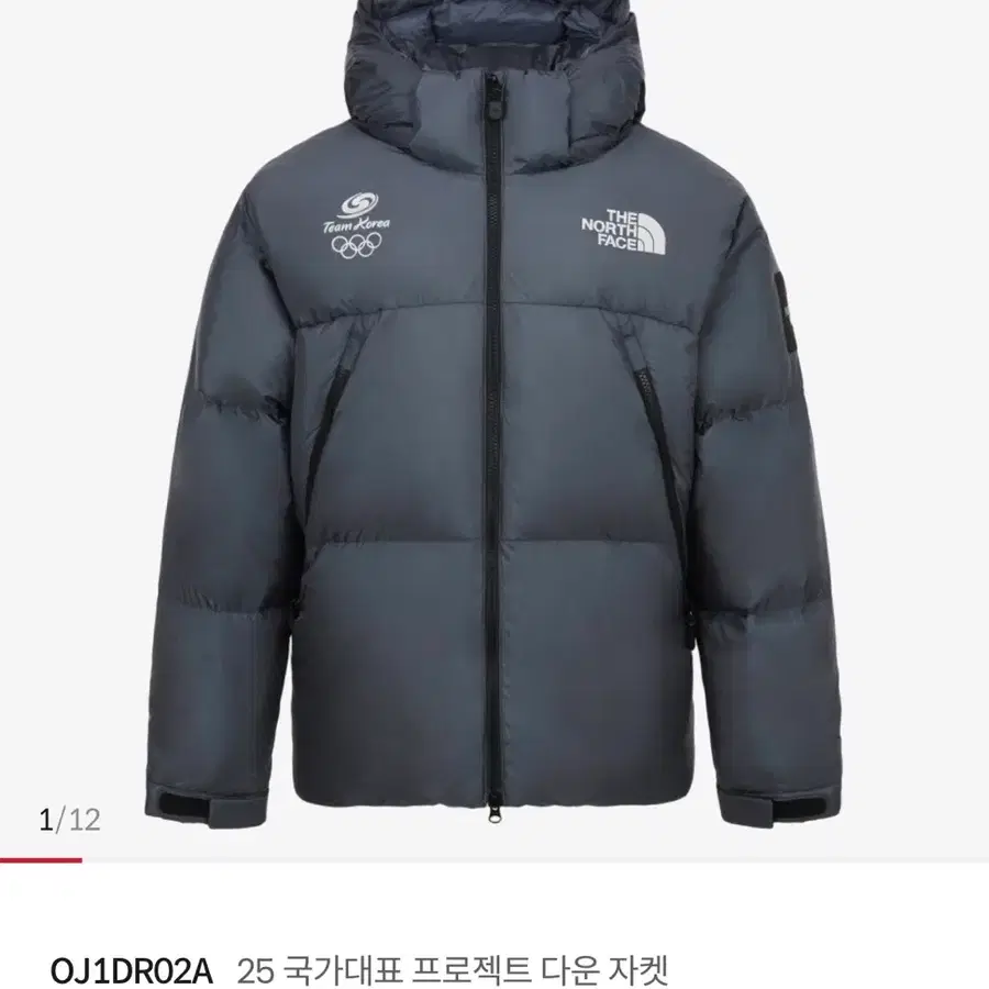 노스페이스 프로젝트 다운 패딩 한정판 M(95)