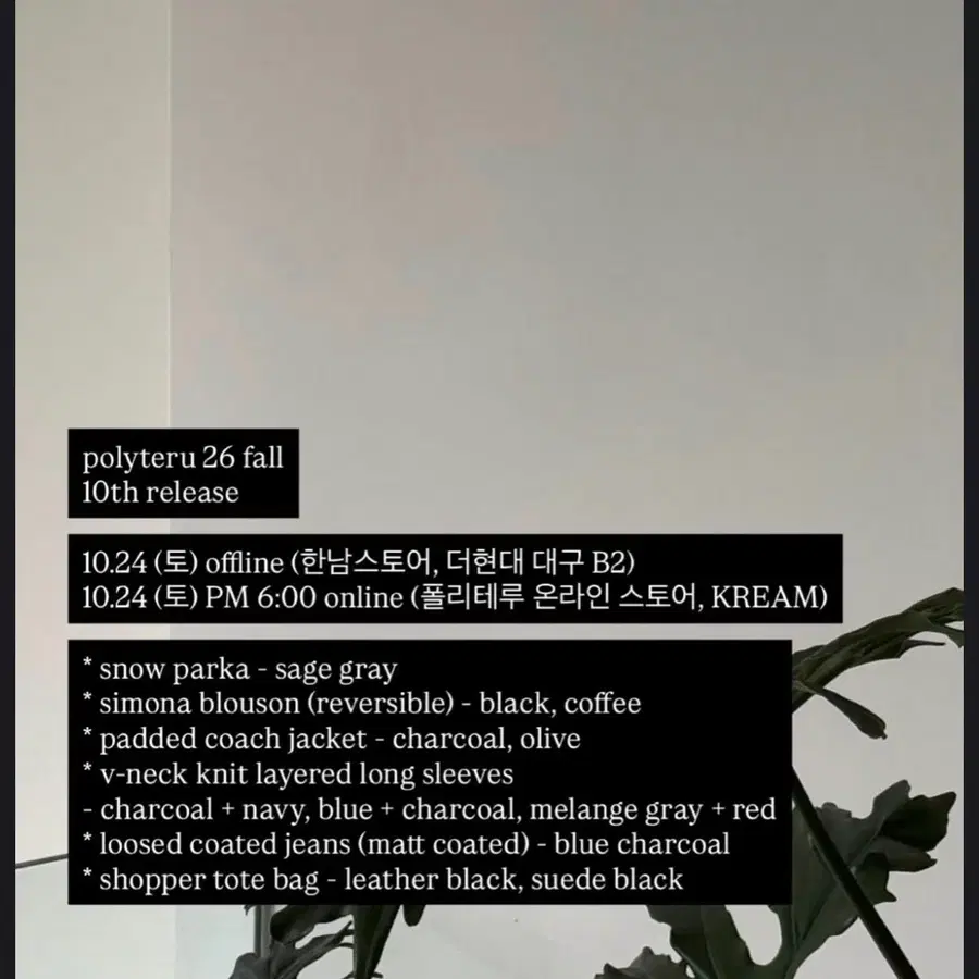 10.24 폴리테루 정가대리 해드려요.