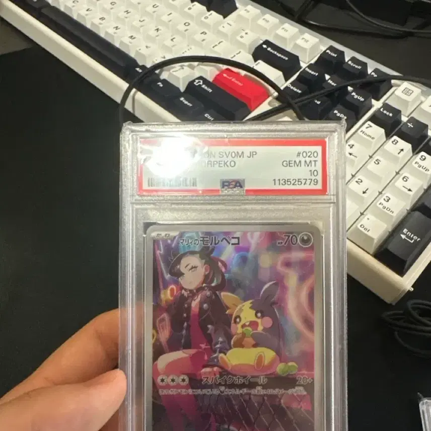 포켓몬 PSA 10 마리 모르페코 포켓몬 카드