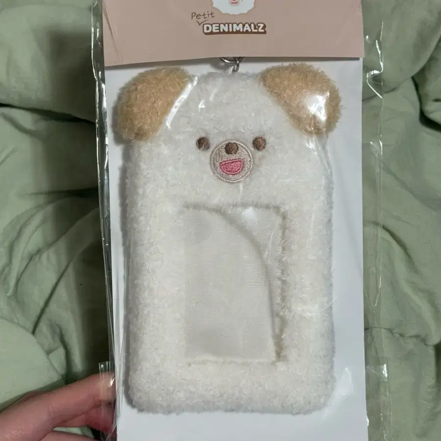 데이식스 쁘띠멀즈 도운 돈 포카홀더