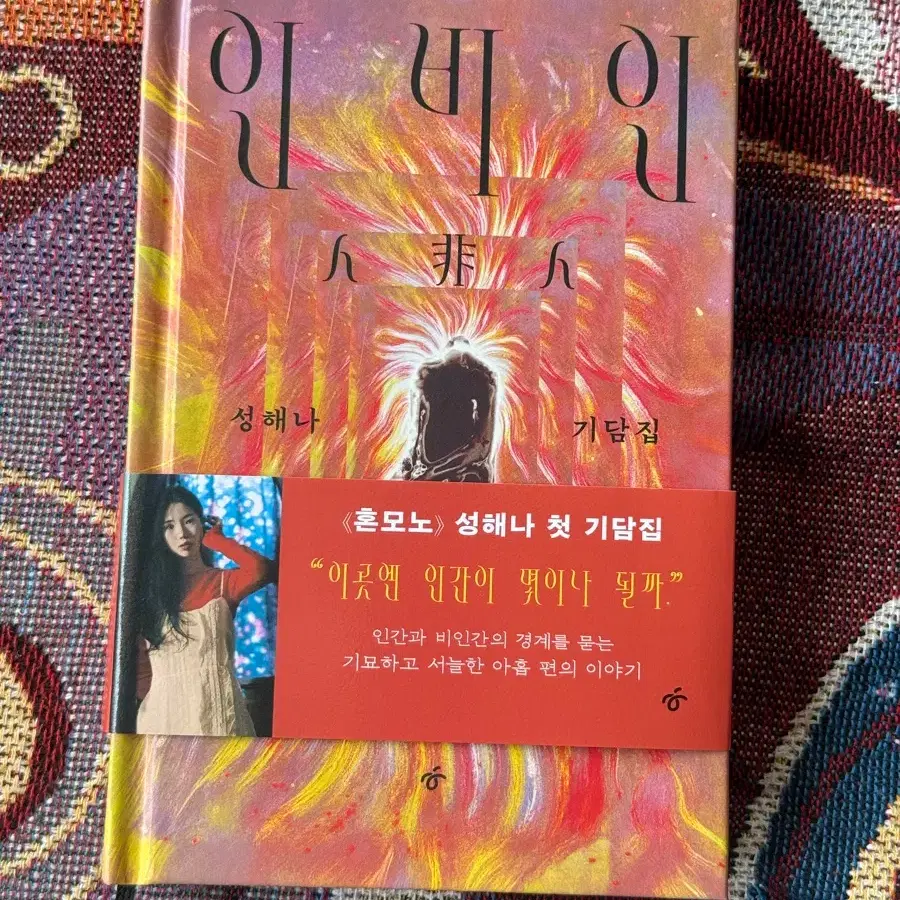 성해나 작가 인비인 기담집