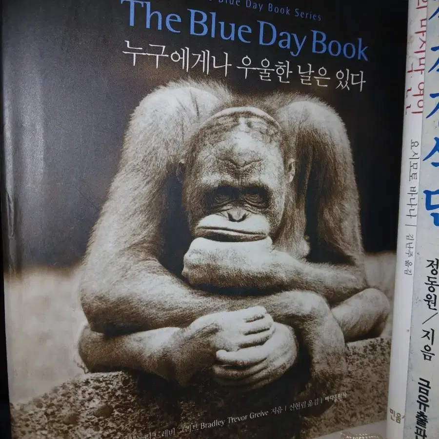 희귀서적. The Blue Day Book 누구에게나 우울한 날은 있다