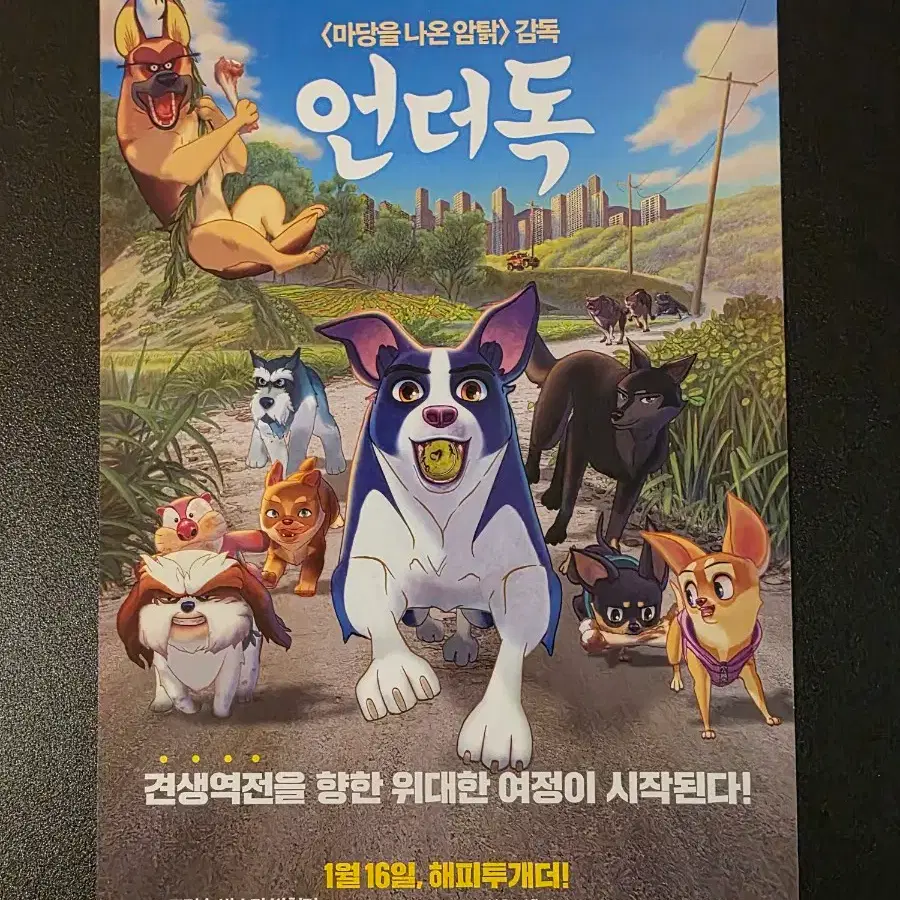 [영화팜플렛] 언더독 전단지 (2019) 도경수 박소담 디오 EXO