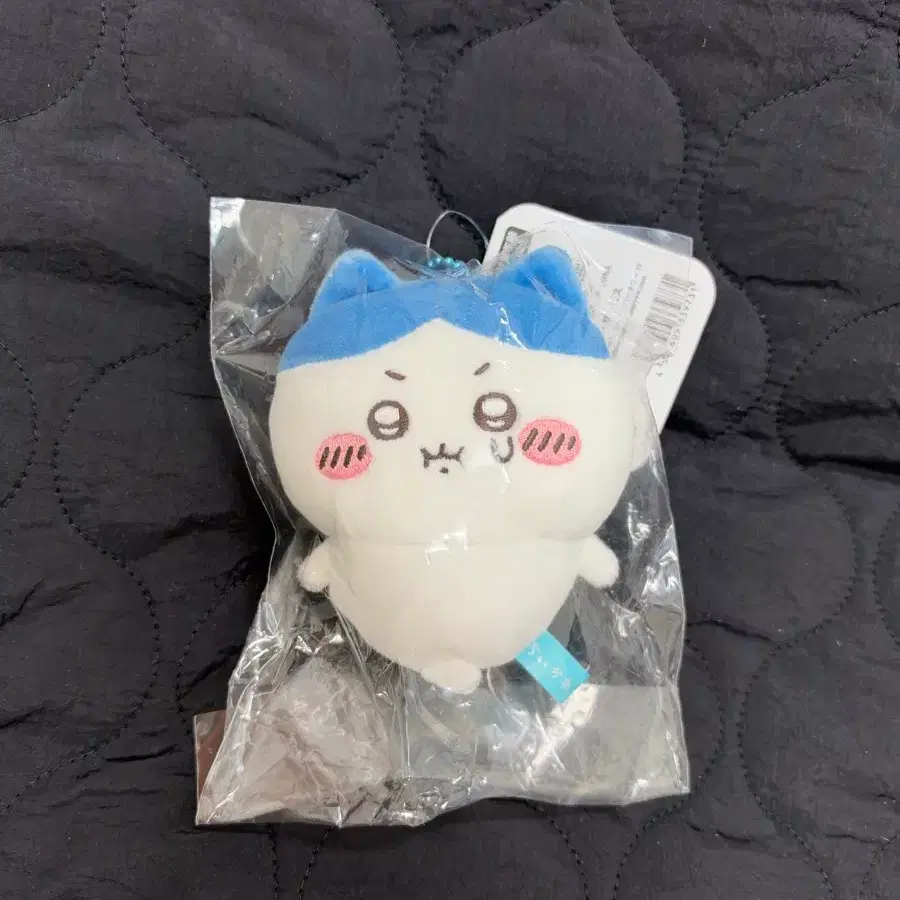 치이카와 PUN 우는 하치와레