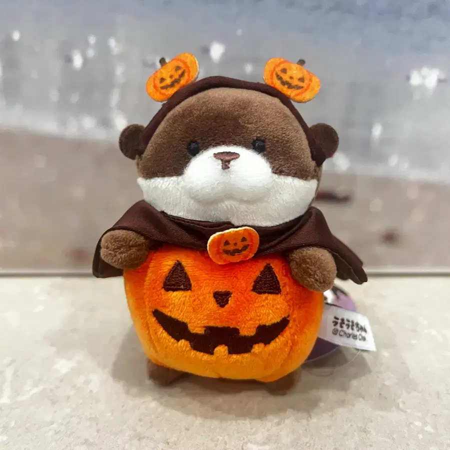 [*새상품/무료배송*] 우소우소짱 키링
