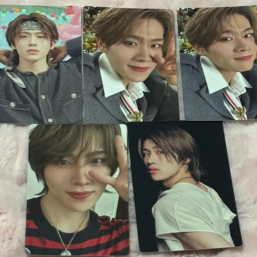 5장 일괄 디엑스틴 DXTEEN 나루 포토카드 포카 워너 하루코이