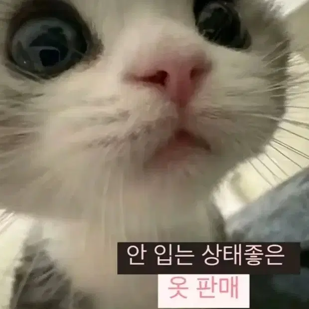 안입는옷 팔아요