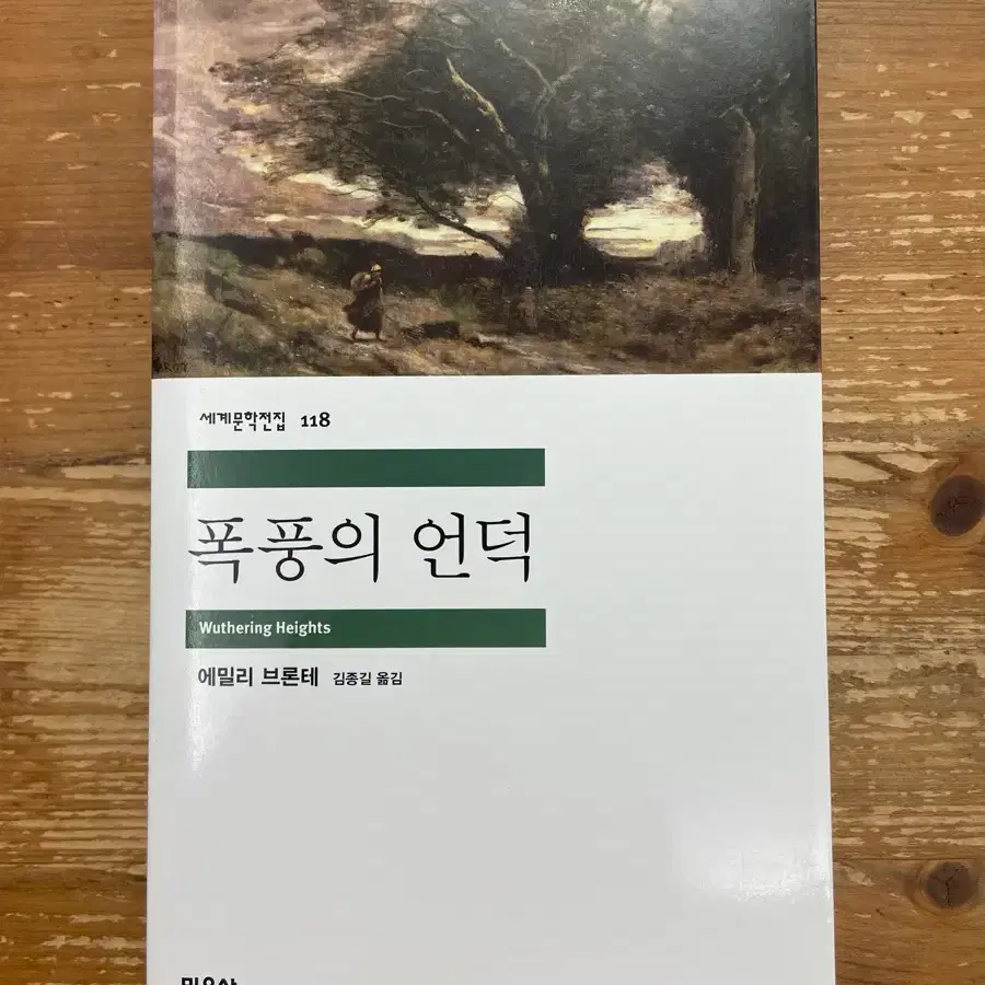 폭풍의 언덕 - 에밀리 브론테