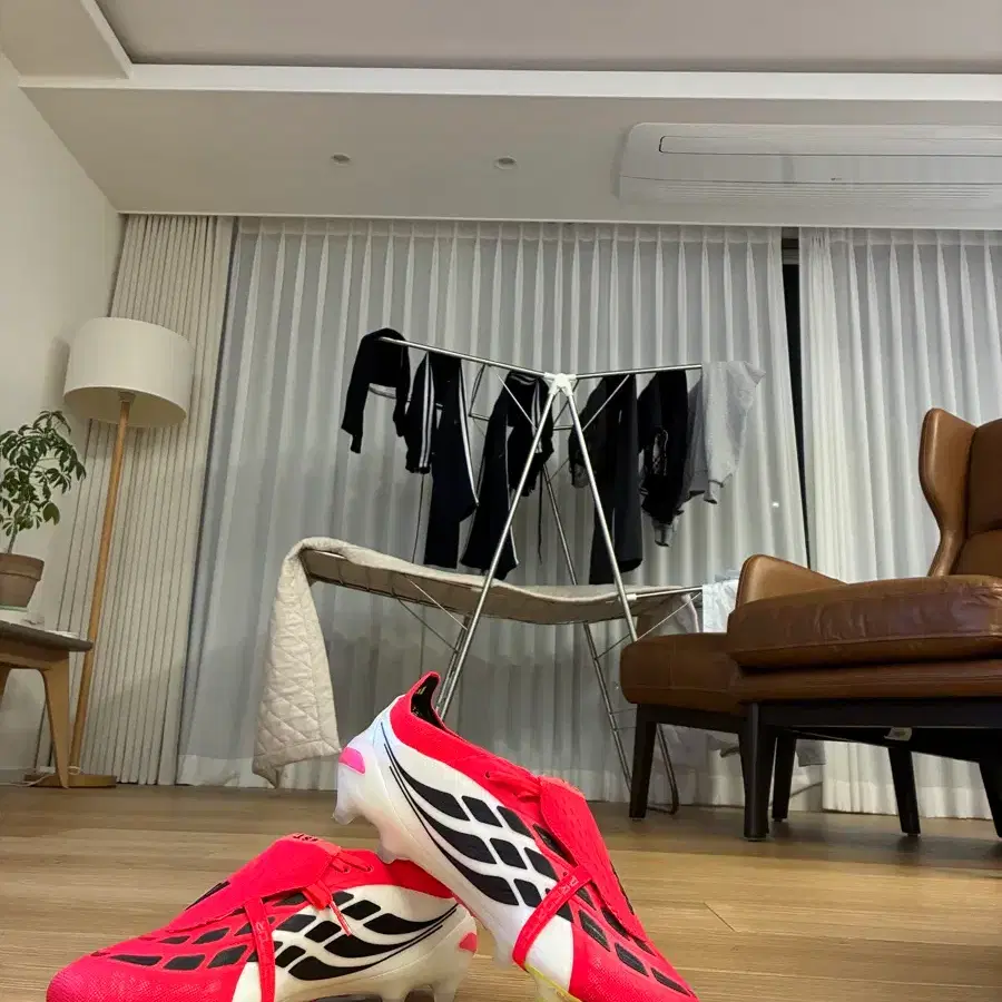 프레데터 루시드 레드 ag 265 판매