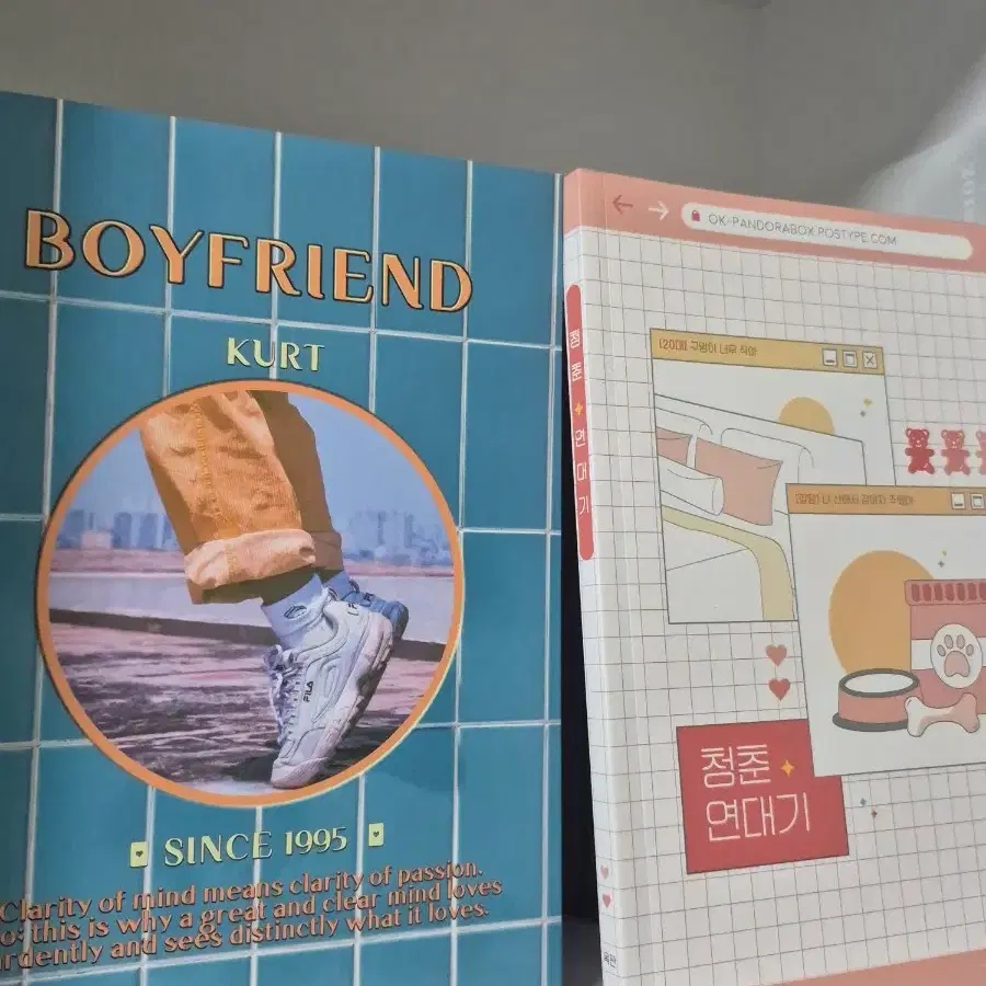 (일괄)방페스 국민 뷔민 짐른 팬픽 소장본 보이프렌드, 청춘연대기