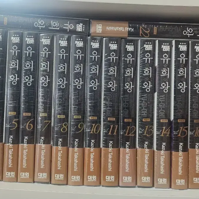 유희왕 1-22
