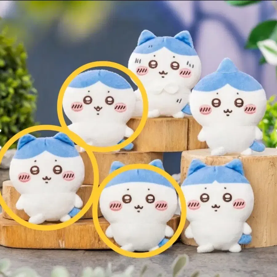 치이카와 먼작귀 하치와레 투성이 쿠지 e상 3개 일괄 양도