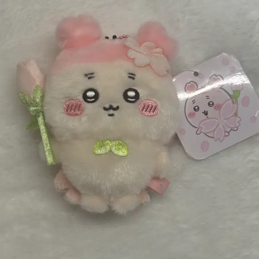 치이카와 벚꽃 요정 카니 마스코트