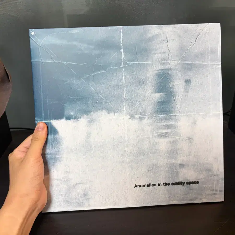더 폴스 아노말리스 인 더 오디티 LP