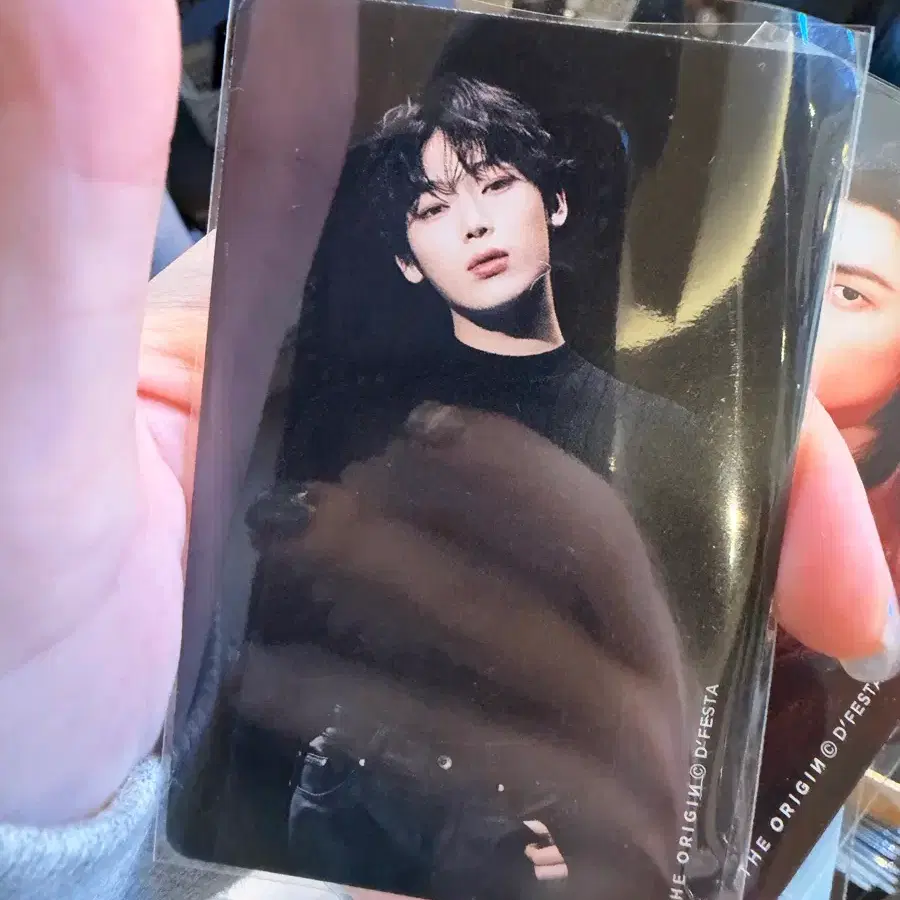 디페스타 입장 포카 양도 성우
