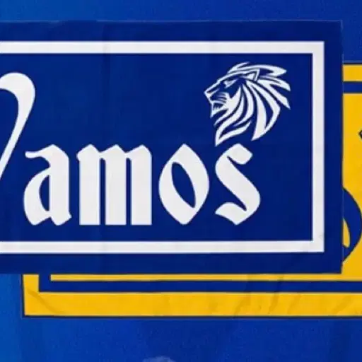 삼성라이온즈 vamos 응원타월