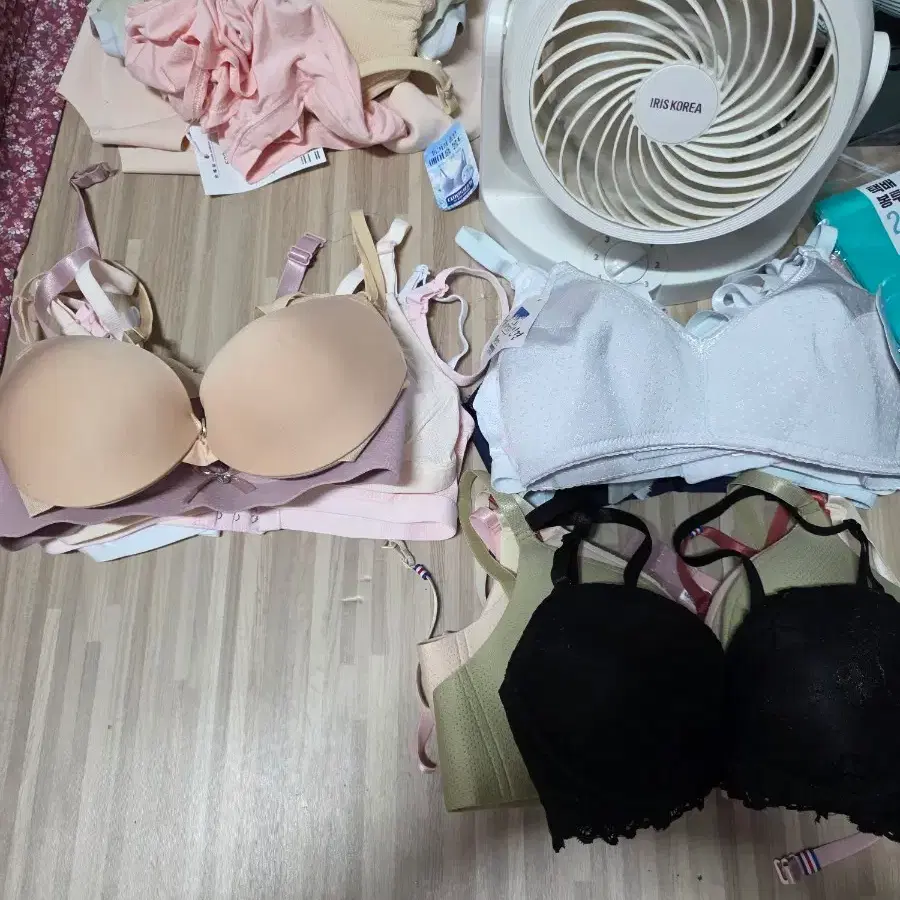 여성 속옷 브라 모음