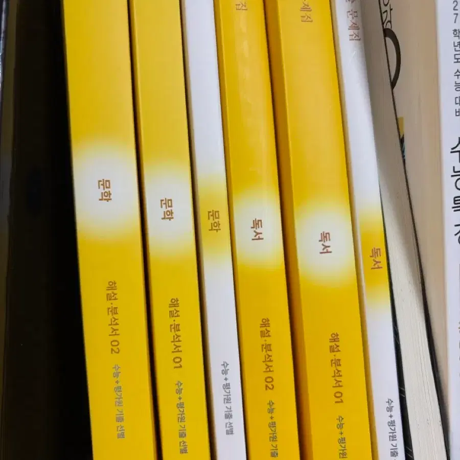 시대인재 기출 문제집 독서 문학