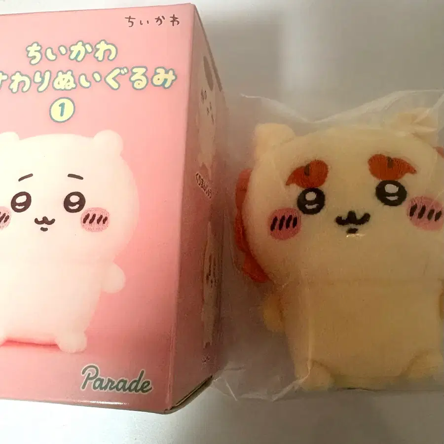치이카와 앉은누이 시사 앉누 2탄 박스 양도