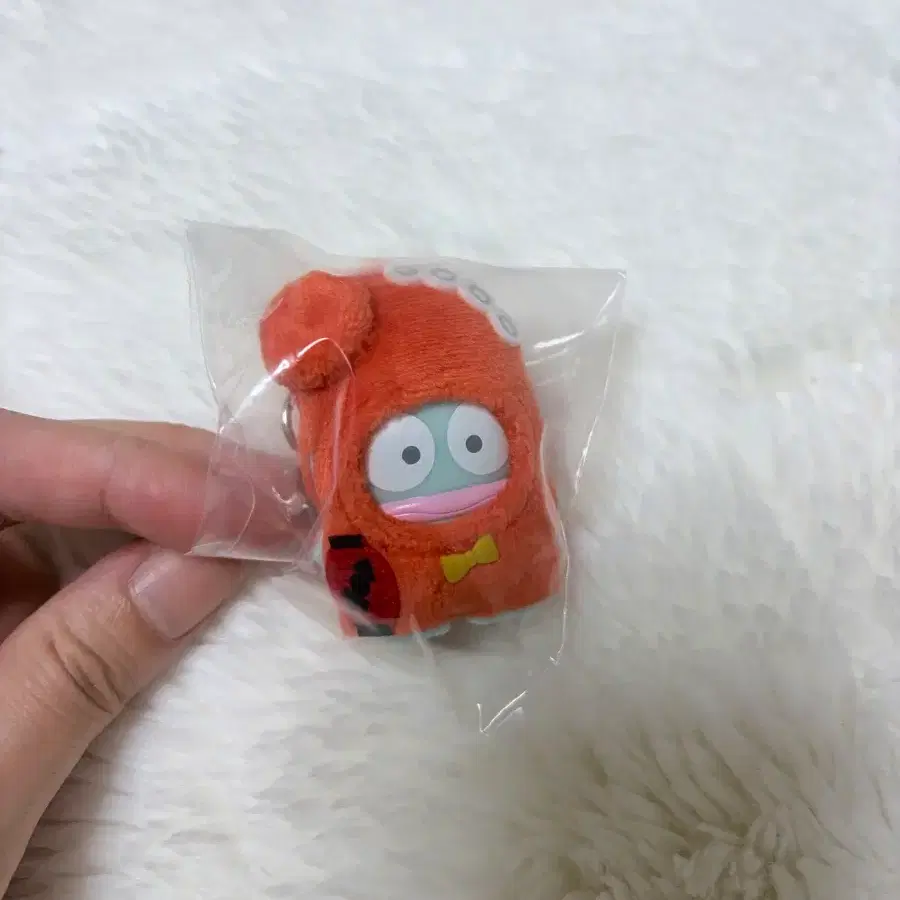 한교동 치비토모 초신상