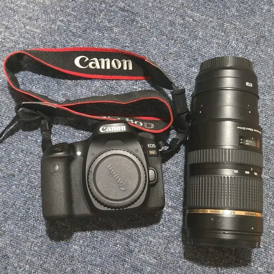 캐논 80D + 구탐아빠
