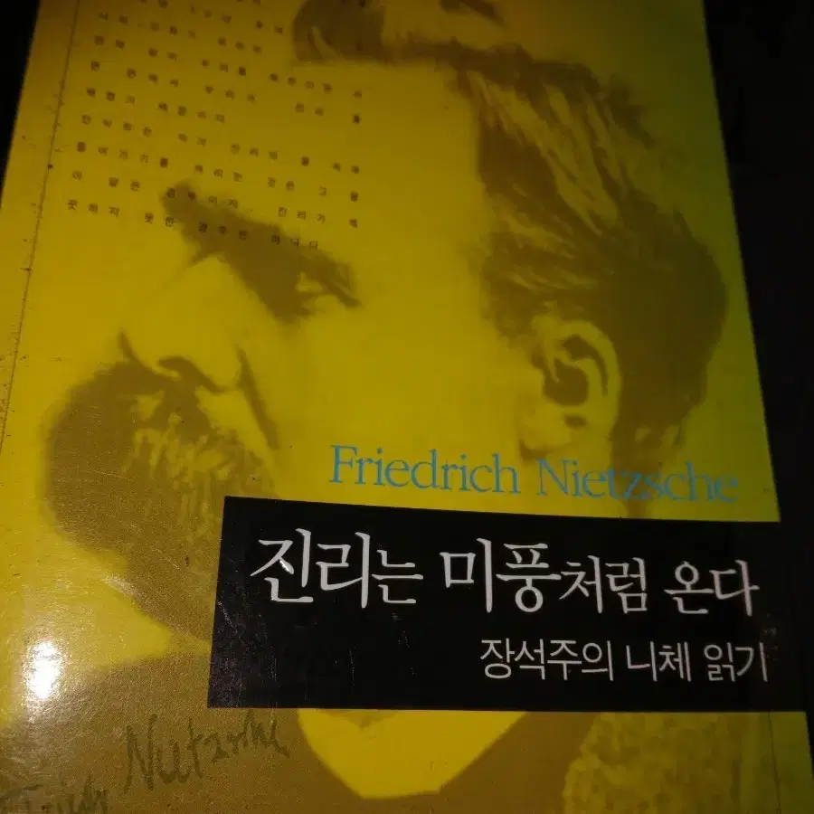 빈티지희귀본 니체 진리는 미풍처럼 온다 장석주 읽기