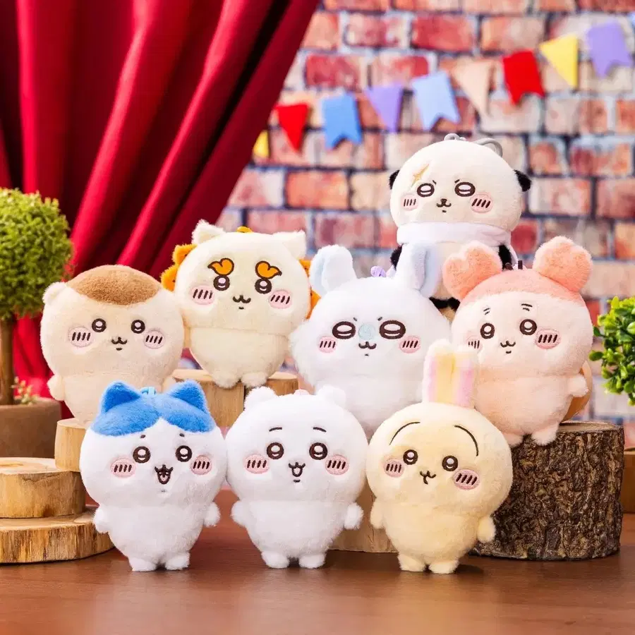 치이카와 파크 푸와코로 마코 (치이카와)