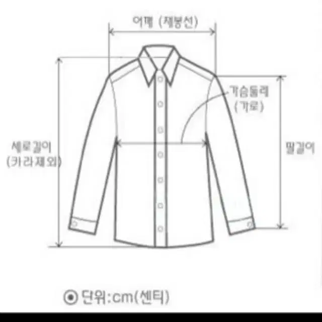 유용한팁 사이즈보는방법