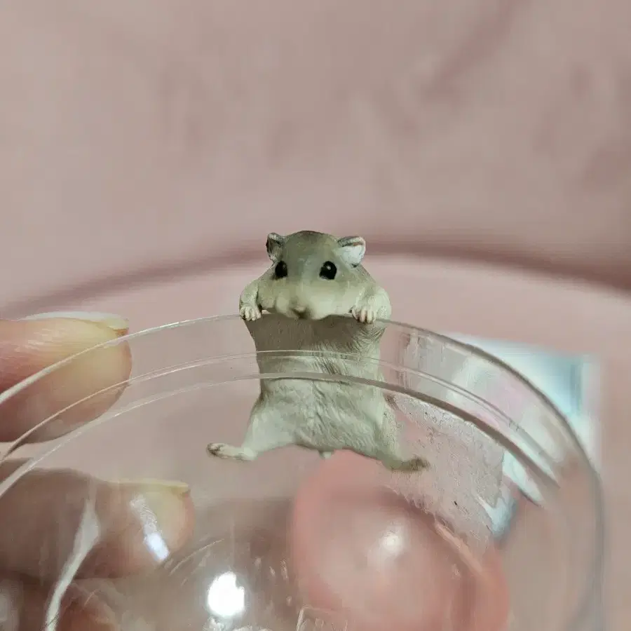 컵위의 햄스터 가챠