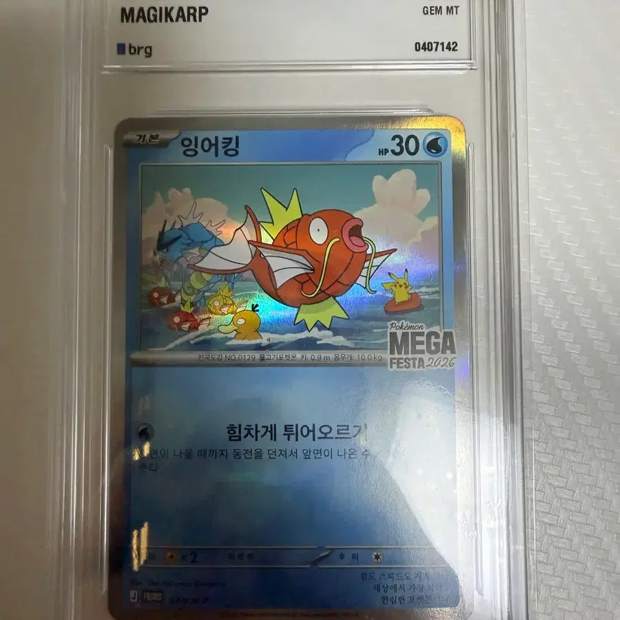 포켓몬 잉어킹 카드 MG 페스타 2026 프로모 brg10