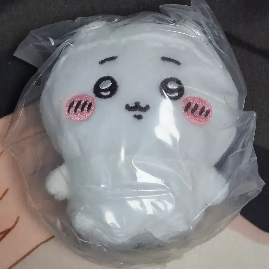 치이카와 먼작귀 앉은누이