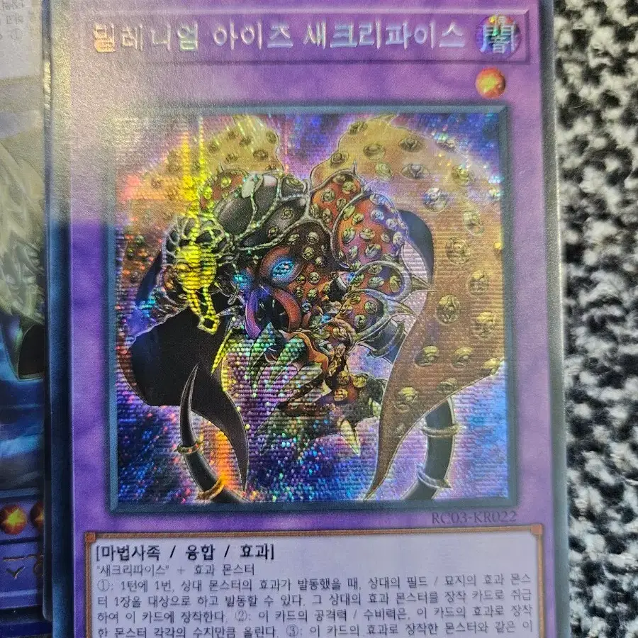 밀레니엄 아이즈 새크리파이스 시크