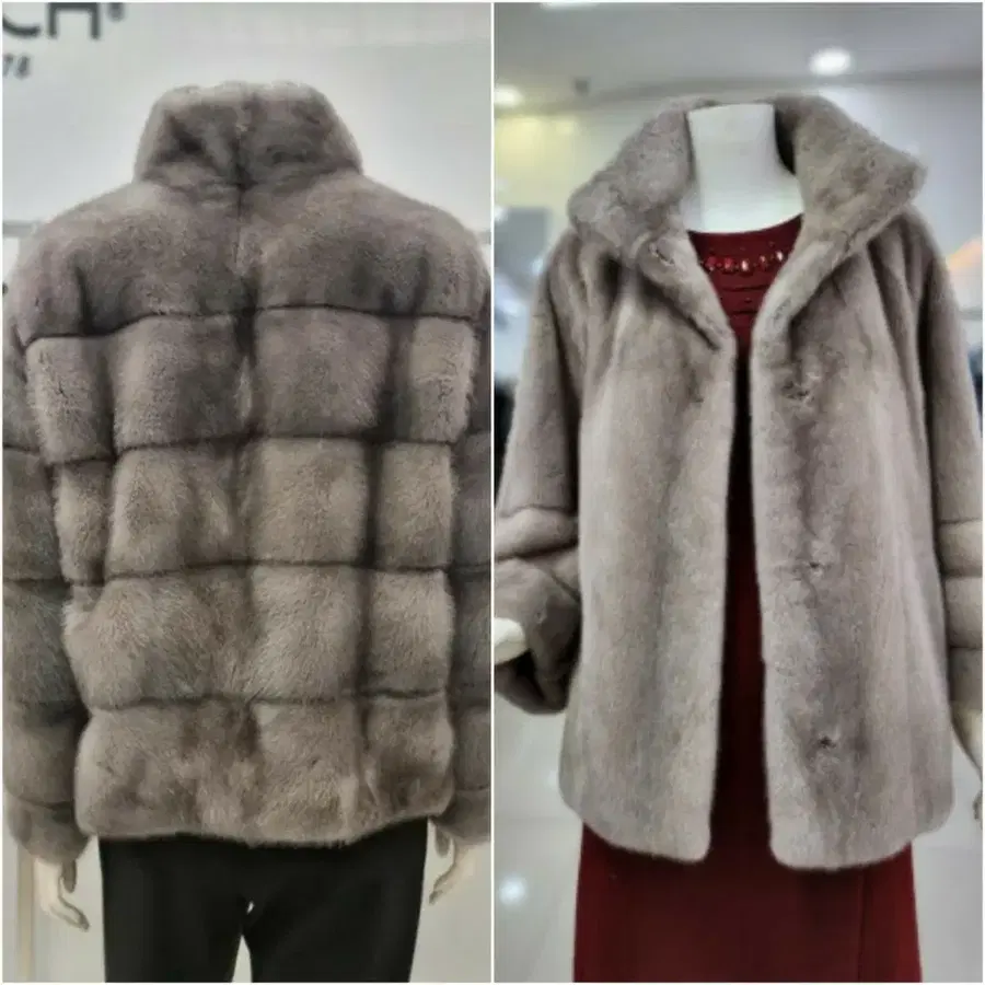 밍크코트팔아요 휘메일 검색 +연회색상