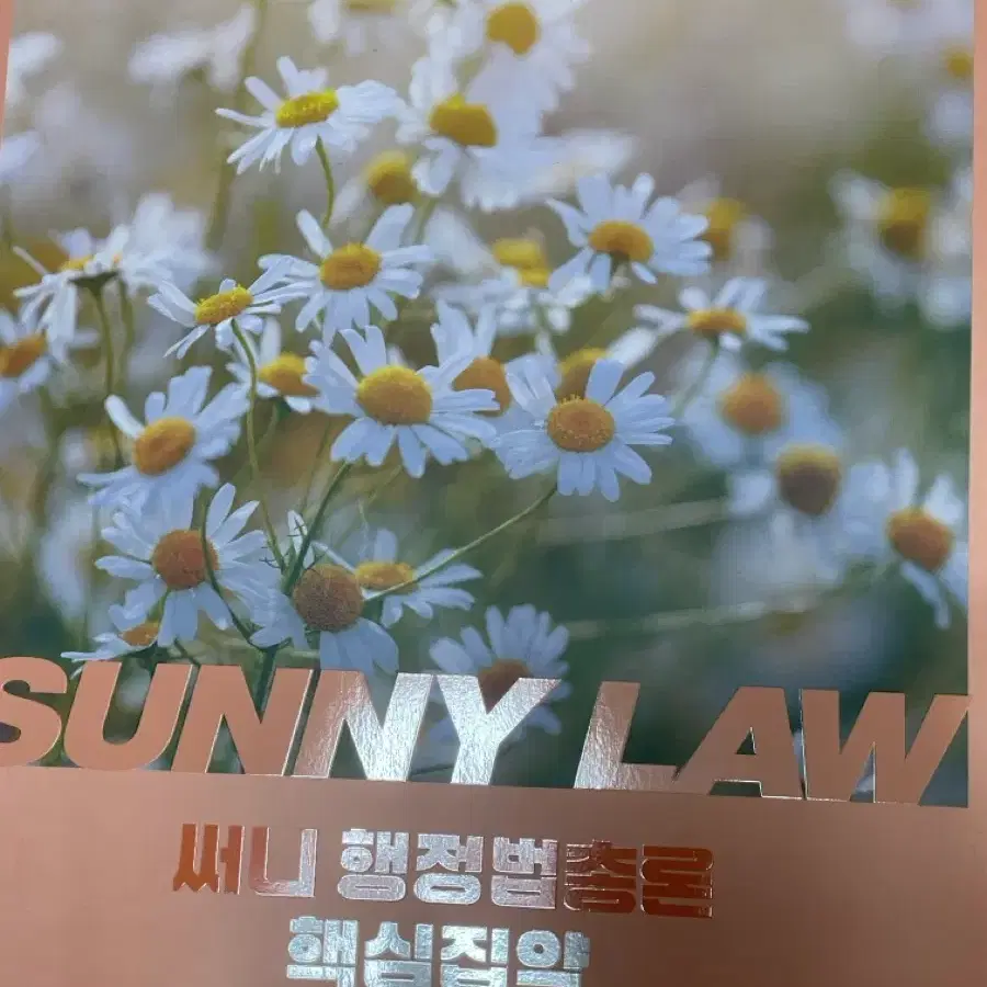 써니 행정법총론 핵심집약 2027 새책