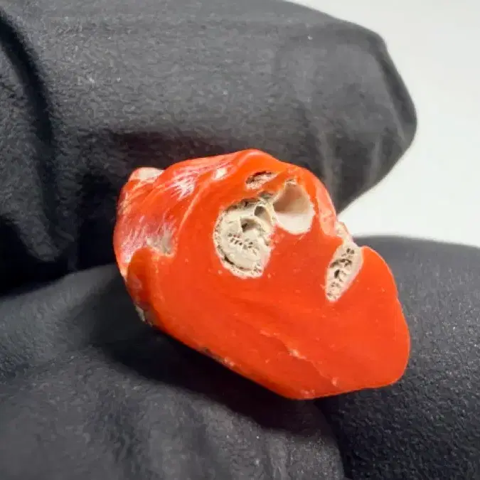 No.6365 천연 이탈리아 레드 코랄 Red coral 산호가지 9.8ct