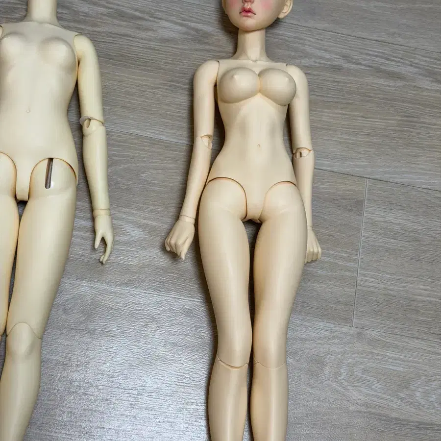 카날코드바디와 헤드 노멀색상