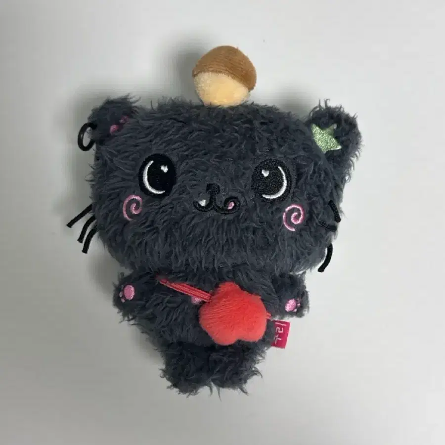 엔시티 위시 위시돌 초판쿠리 꼬질쿠리