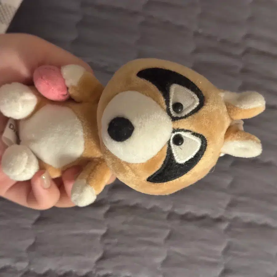 보노보노 너부리 키링