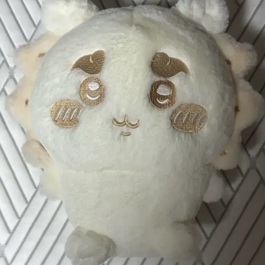 치이카와 시사 밀크 퍼레이드 누이