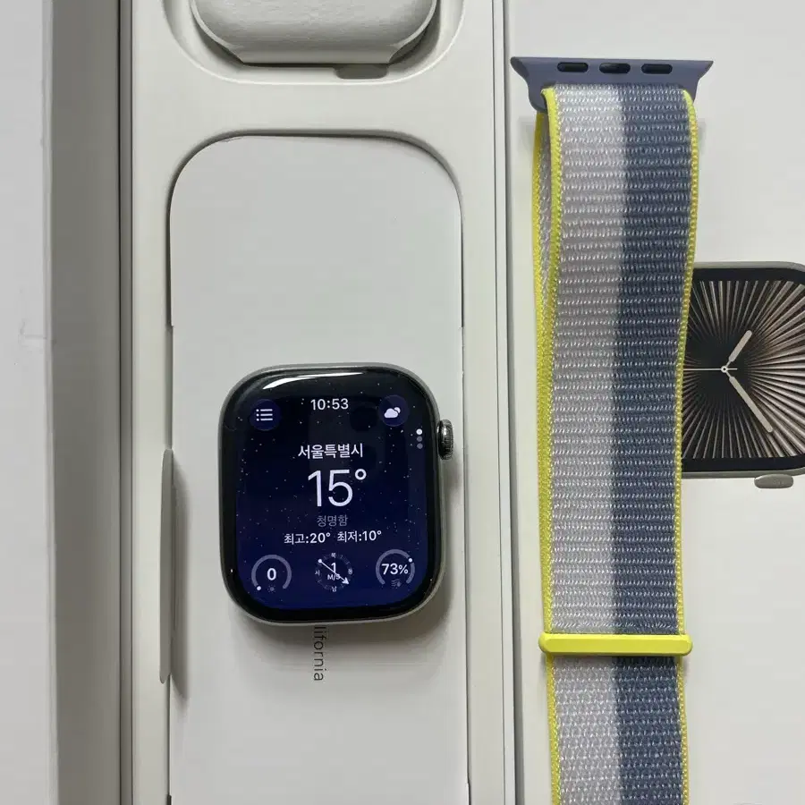 애플워치10티타늄 46 mm 내추럴 SSS급