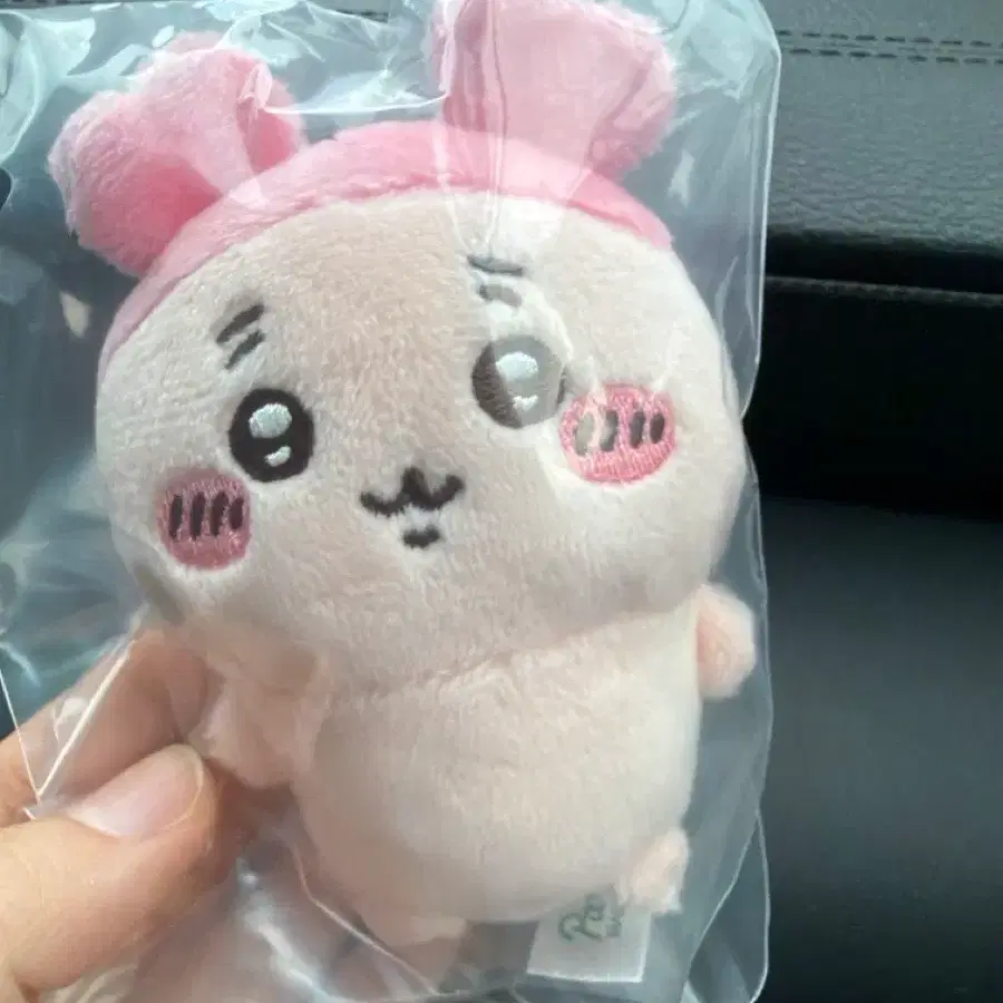 앉은누이 카니!!(치이카와)