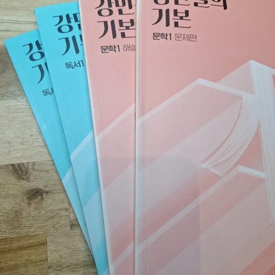 강기본 독서+문학