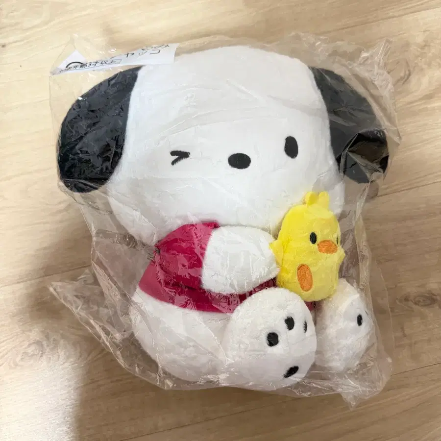 포챠코페클 쿠지 B상