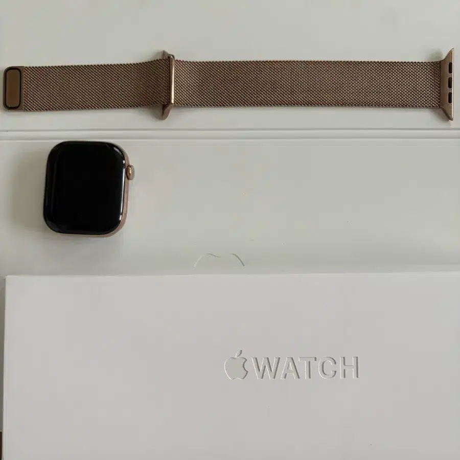 애플워치10 티타늄 로즈골드 셀룰러 46mm