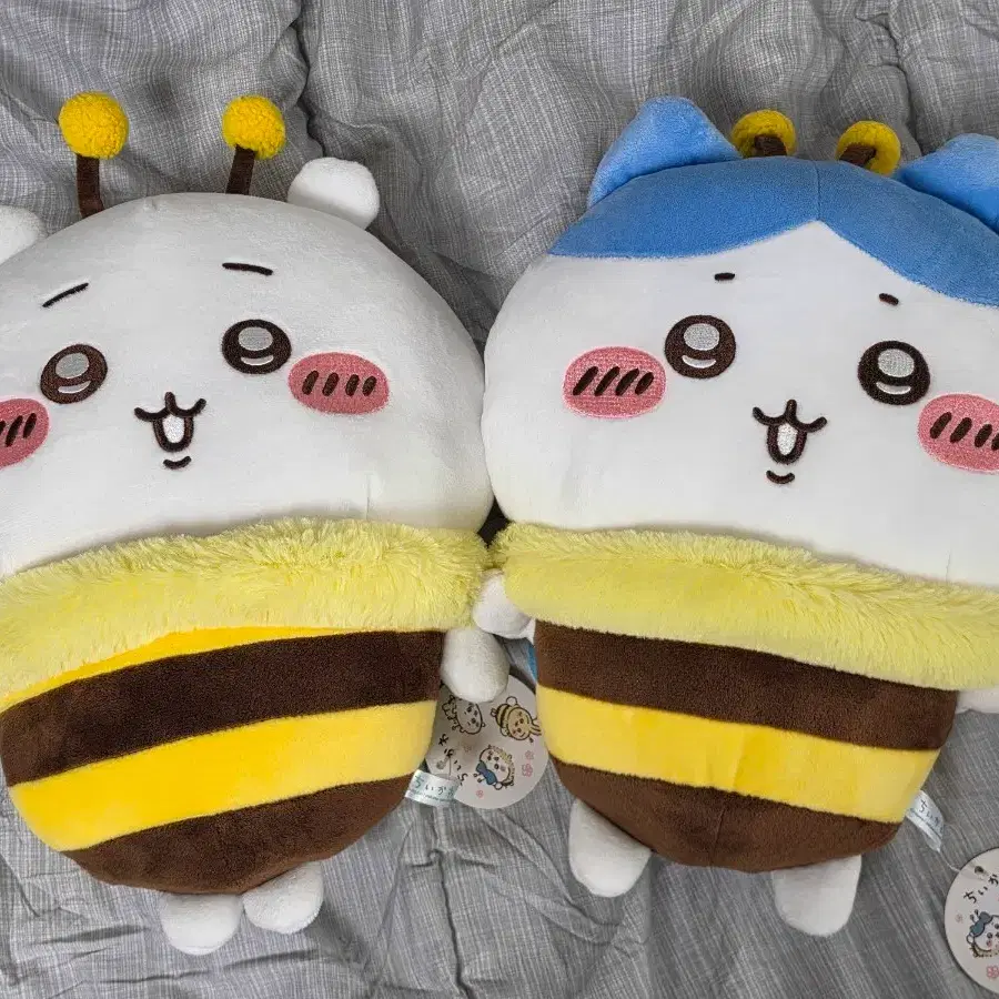 일괄) 꿀벌 치이카와 하치와레 먼작귀 Big 인형 누이