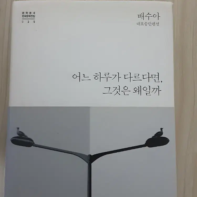 배수아 대표중단편선 어느 하루가 다르다면, 그것은 왜일까