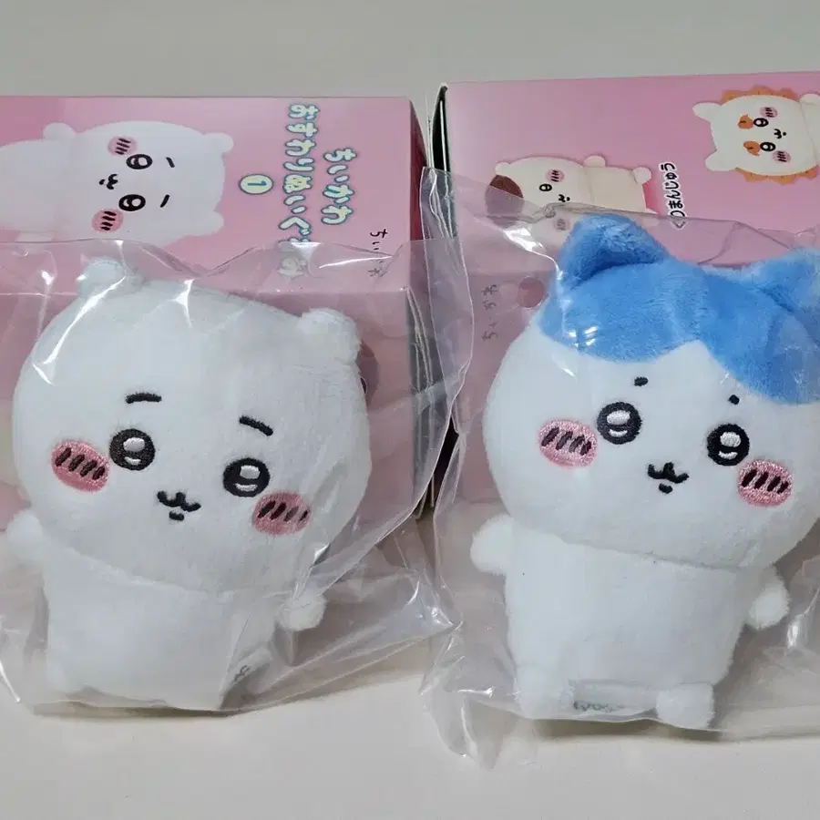 앉은누이 치이카와 하치와레 일괄