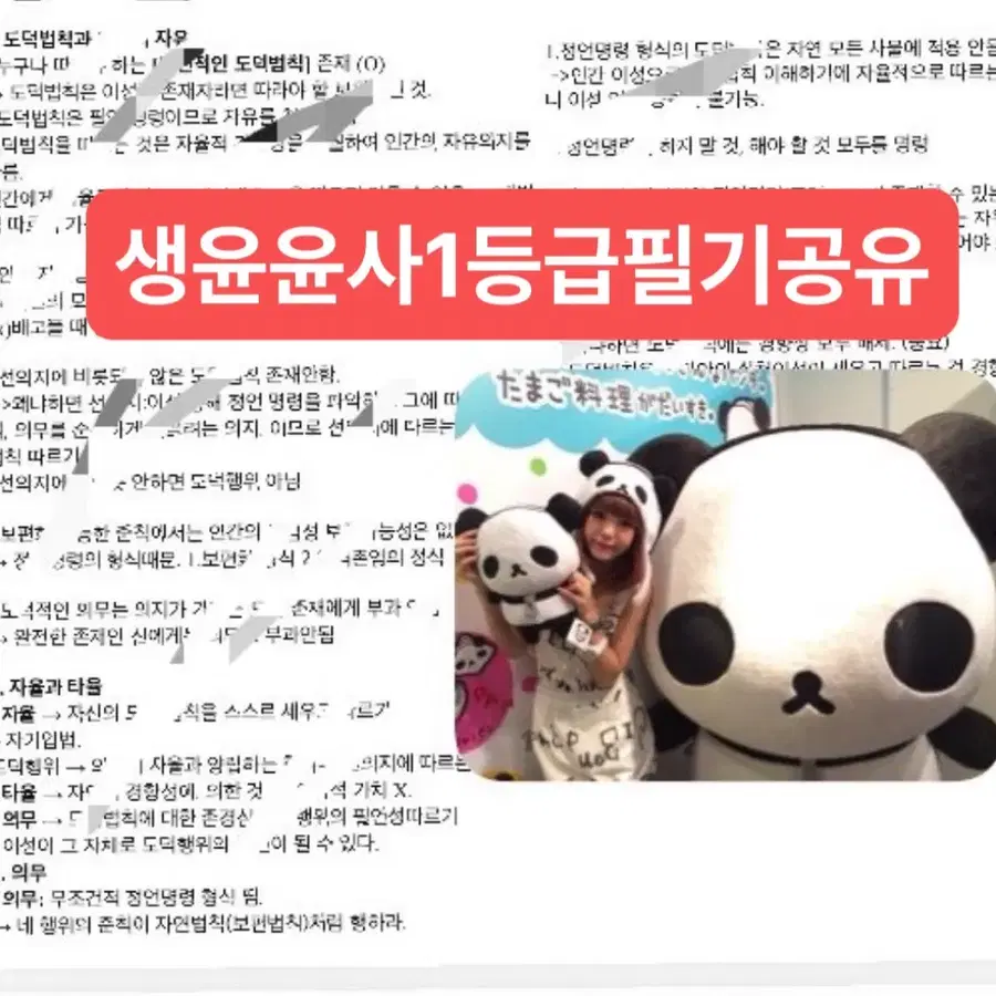 생윤1등급,분배정의 수특수완기출 필기 공유